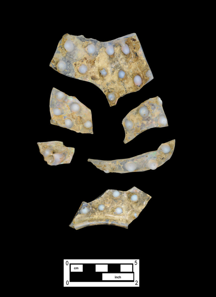 Example of “dewdrop” or “hobnail” decorated shade (Cat # 4.24.383).